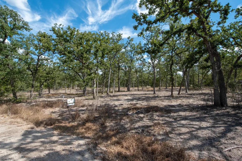 211 Forest Oak Drive Somerville, TX 77879