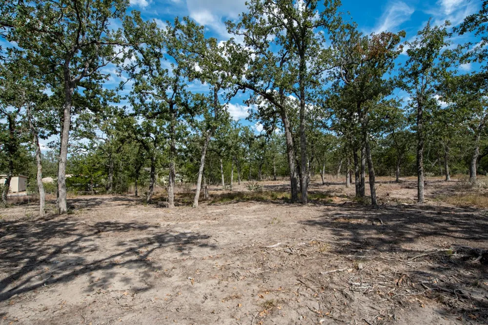 211 Forest Oak Drive Somerville, TX 77879