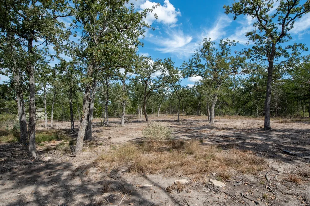 211 Forest Oak Drive Somerville, TX 77879