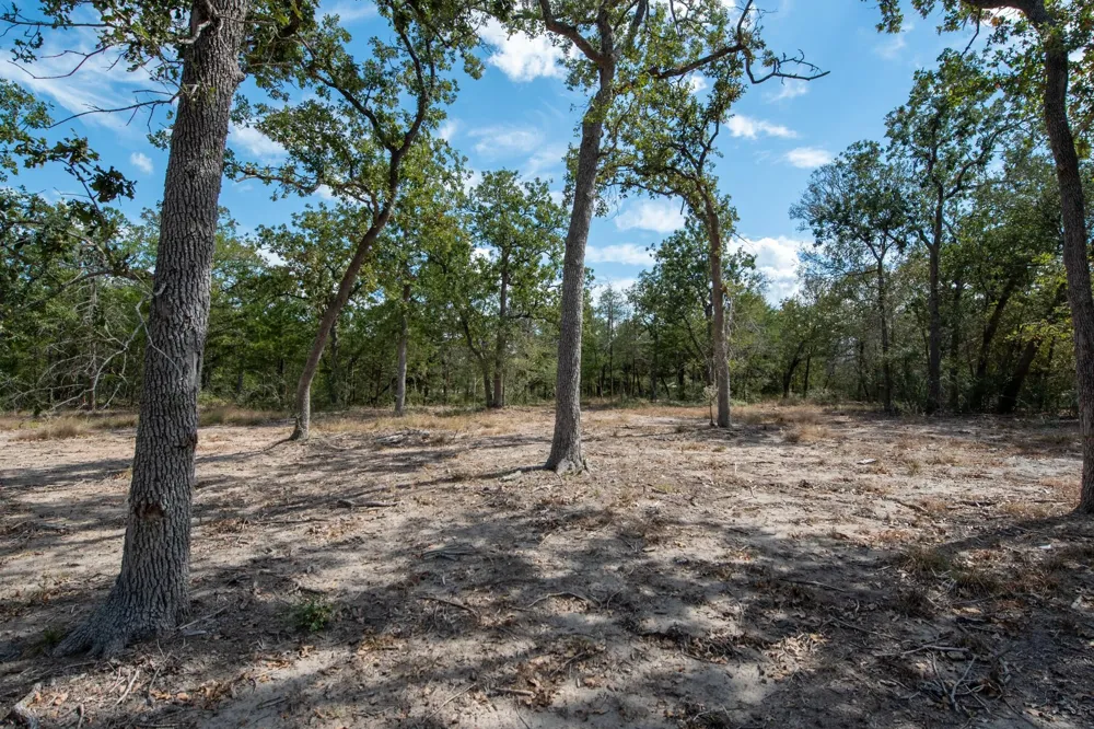 211 Forest Oak Drive Somerville, TX 77879