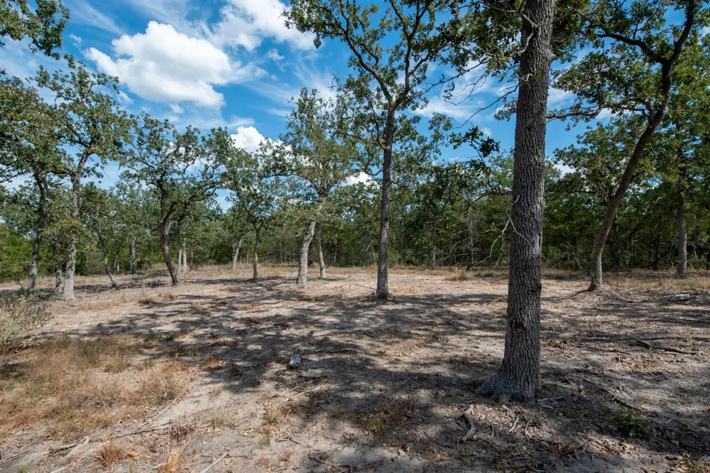 211 Forest Oak Drive Somerville, TX 77879