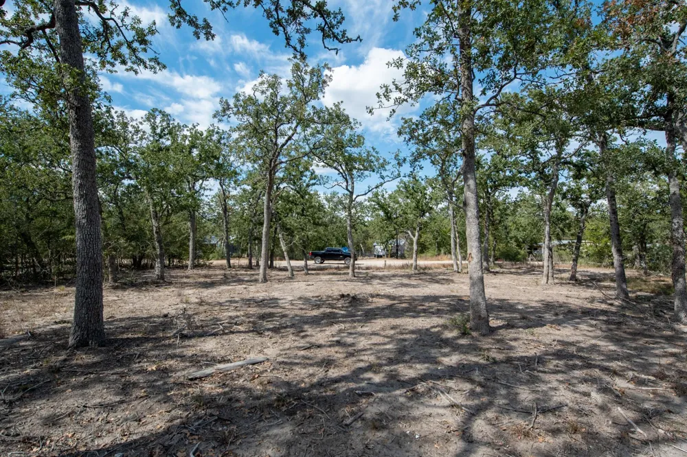 211 Forest Oak Drive Somerville, TX 77879