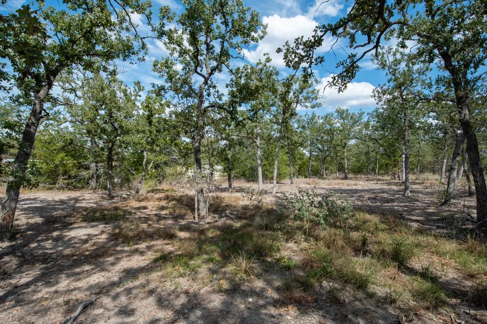 211 Forest Oak Drive Somerville, TX 77879