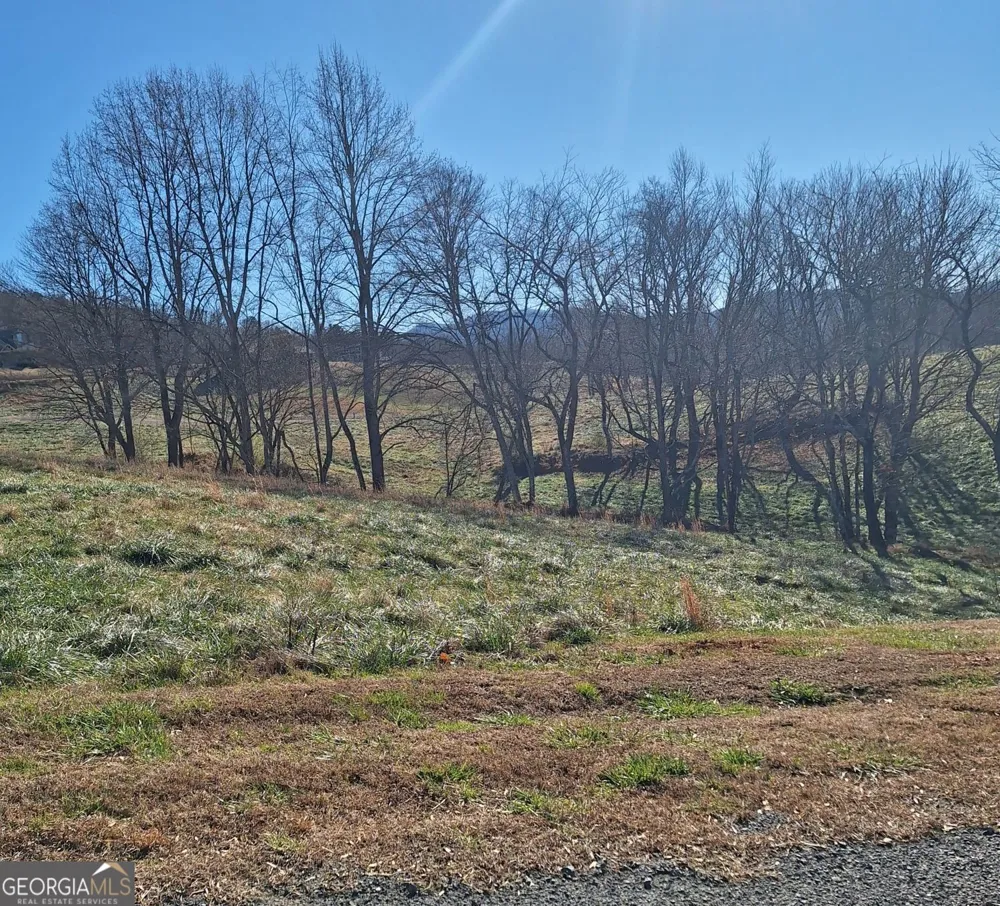 0 Big Valley DR Morganton, GA 30560