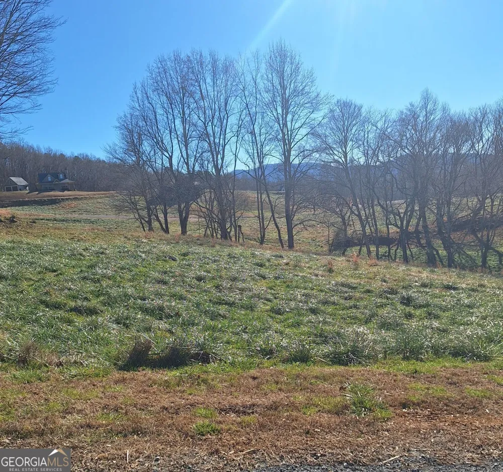 0 Big Valley DR Morganton, GA 30560