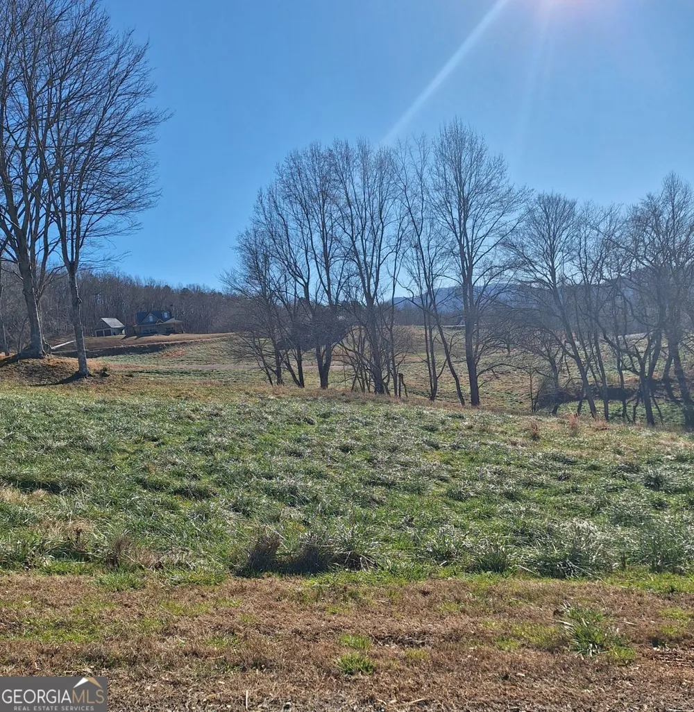 0 Big Valley DR Morganton, GA 30560