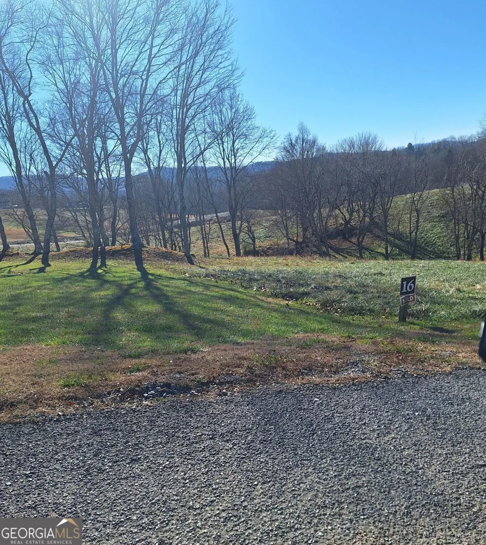 0 Big Valley DR Morganton, GA 30560