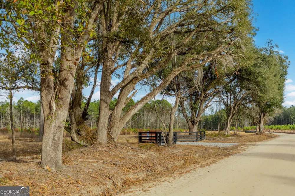 LOT 14 Bennett Grooms RD Brooklet, GA 30415