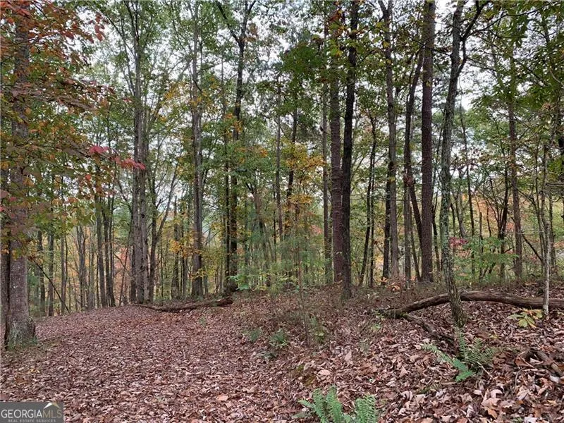 128 Adair DR Ranger, GA 30734