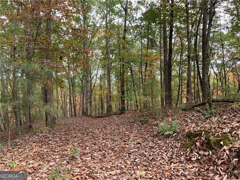 128 Adair DR Ranger, GA 30734