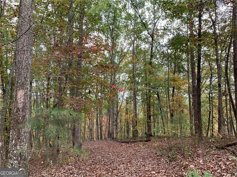 128 Adair DR Ranger, GA 30734