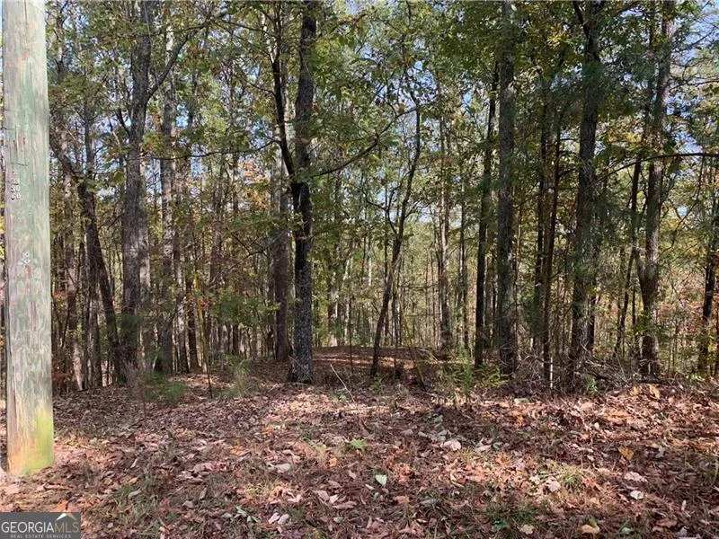 128 Adair DR Ranger, GA 30734