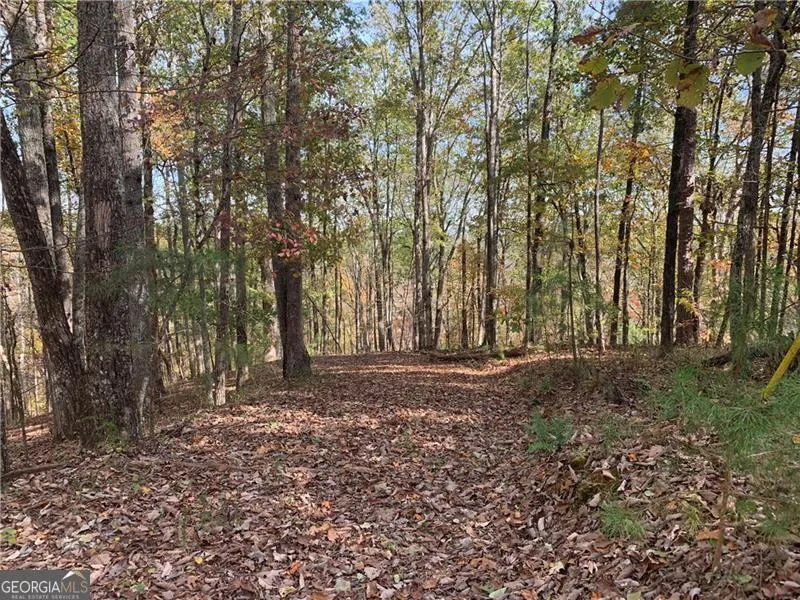 128 Adair DR Ranger, GA 30734