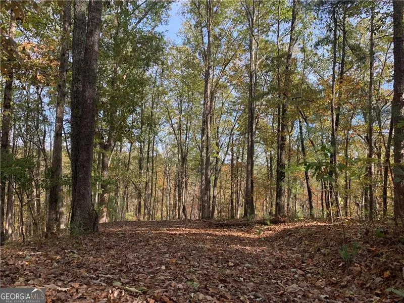 128 Adair DR Ranger, GA 30734