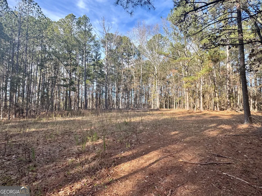 0 Claude Brewer RD Loganville, GA 30052