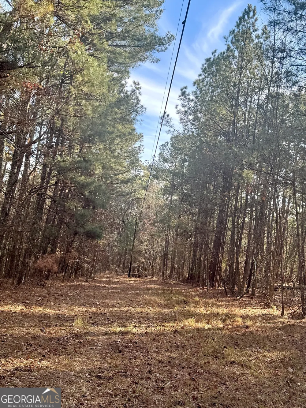 0 Claude Brewer RD Loganville, GA 30052
