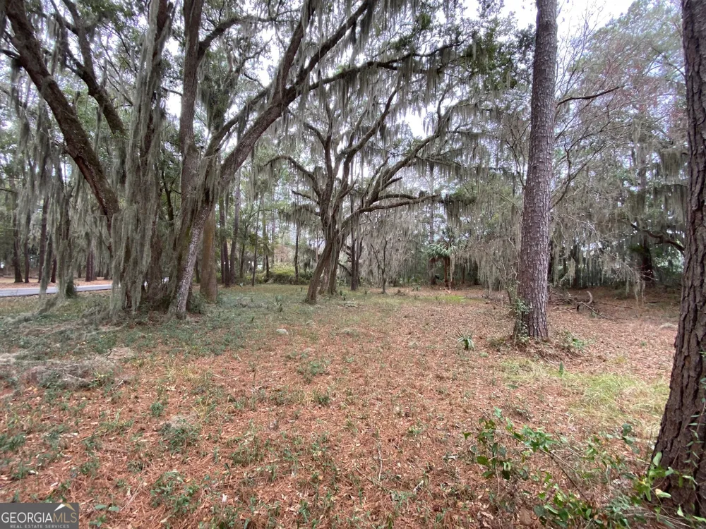 1 Old Cane Mill DR Darien, GA 31305
