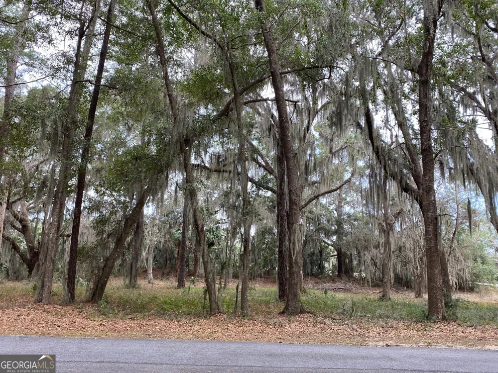 1 Old Cane Mill DR Darien, GA 31305