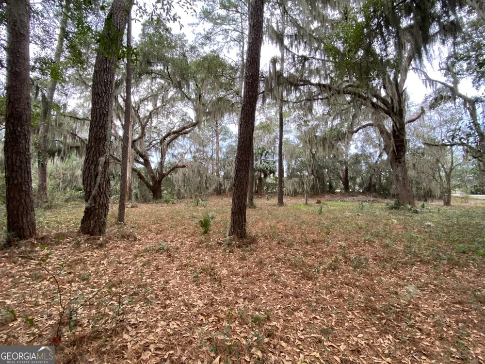 1 Old Cane Mill DR Darien, GA 31305