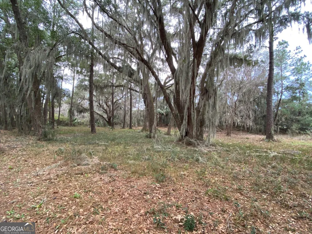 1 Old Cane Mill DR Darien, GA 31305