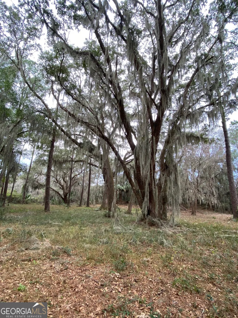 1 Old Cane Mill DR Darien, GA 31305