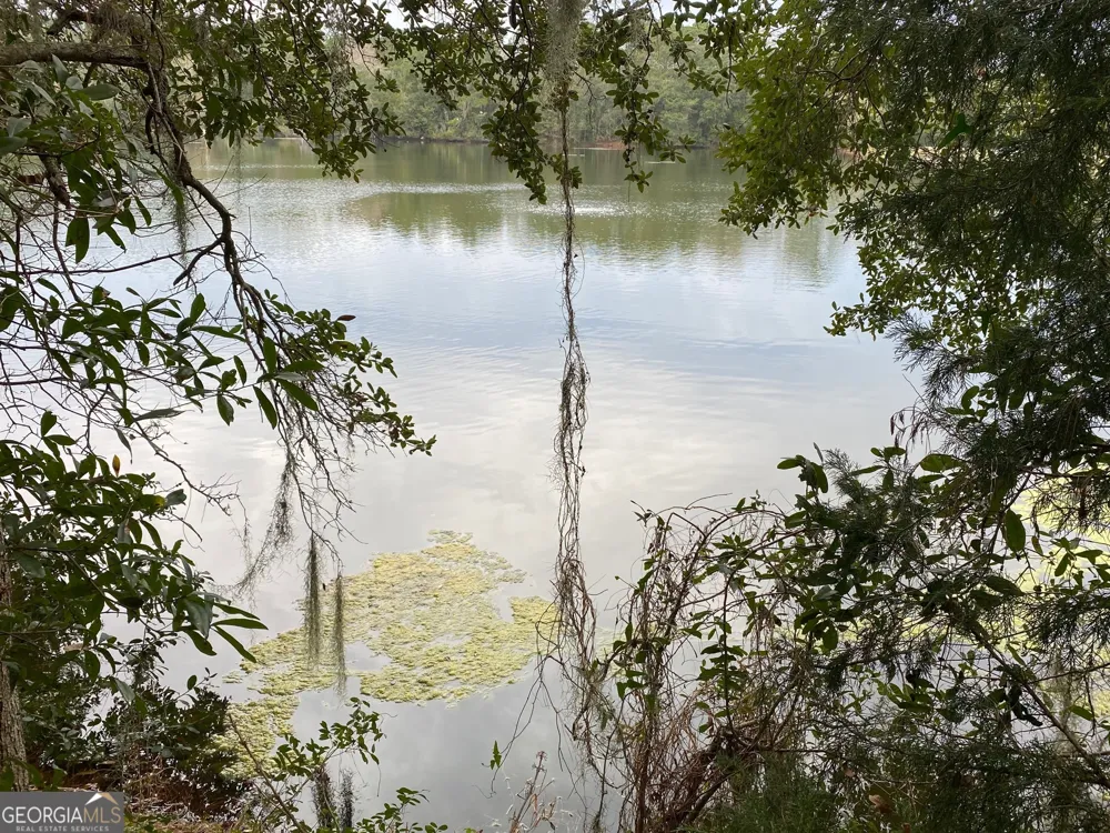 1 Old Cane Mill DR Darien, GA 31305
