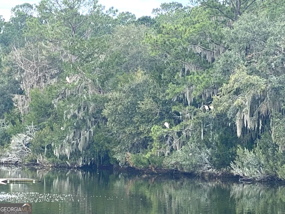 1 Old Cane Mill DR Darien, GA 31305