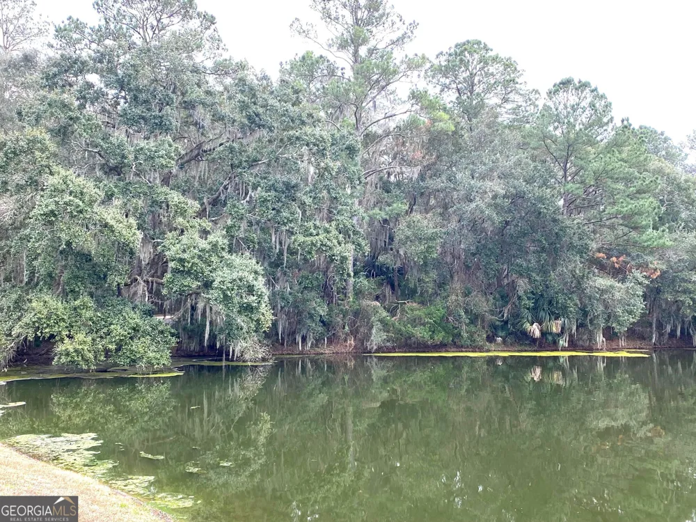 1 Old Cane Mill DR Darien, GA 31305