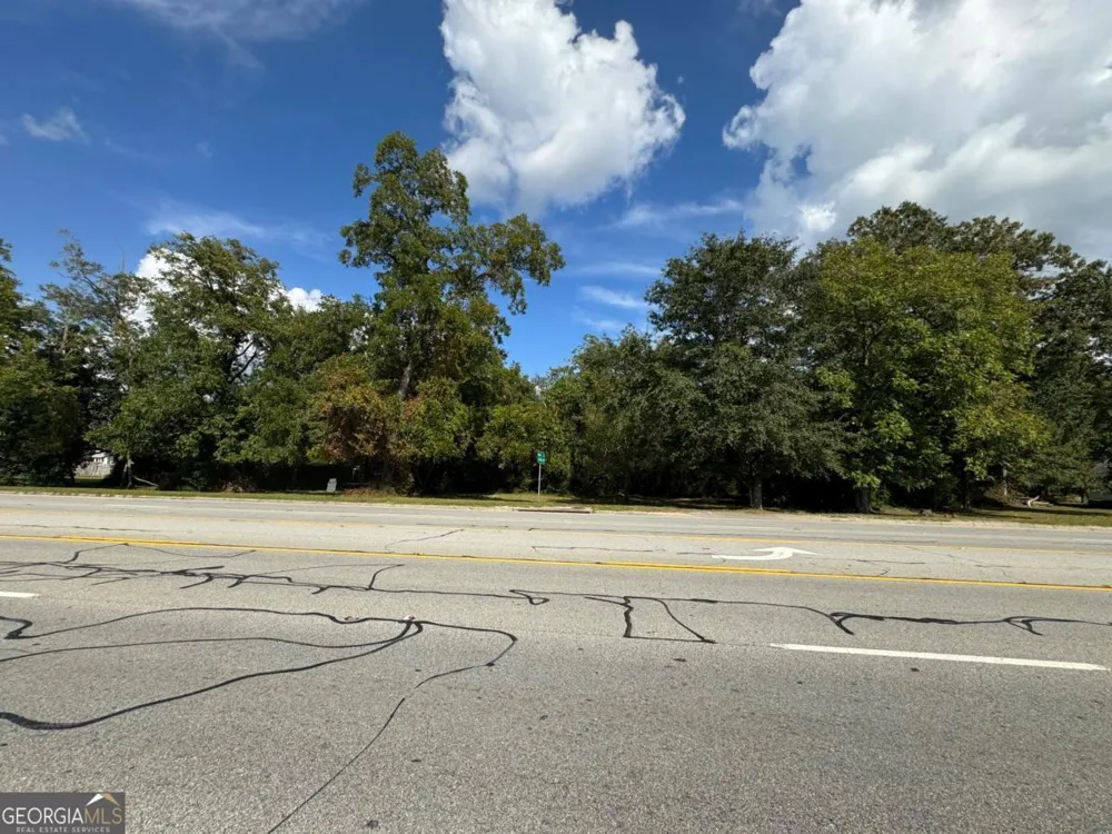 0 Golden Isles HWY Lumber City, GA 31549