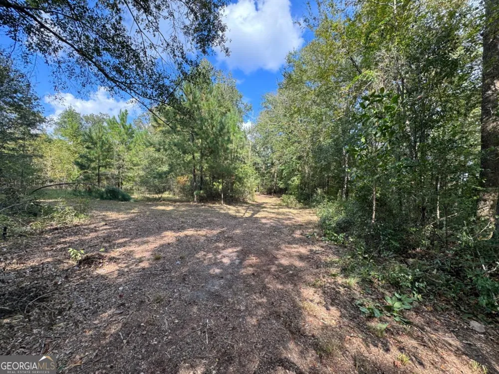 0 Golden Isles HWY Lumber City, GA 31549