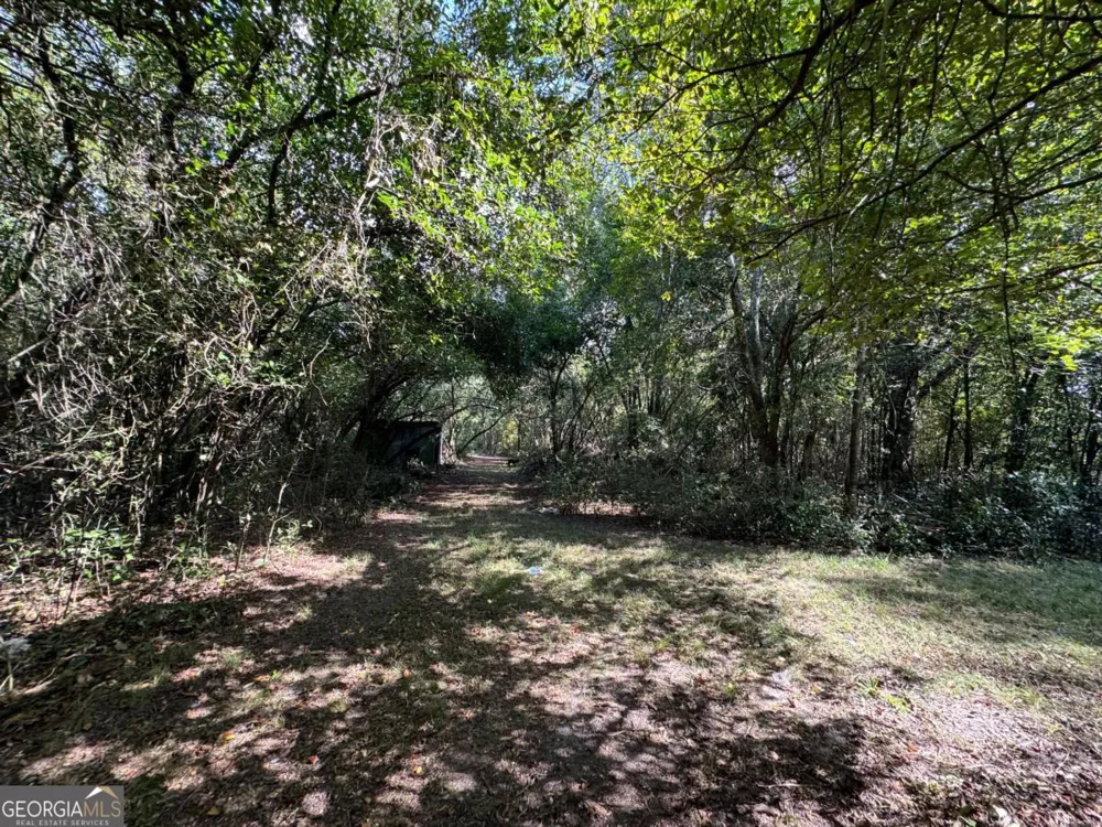 0 Golden Isles HWY Lumber City, GA 31549