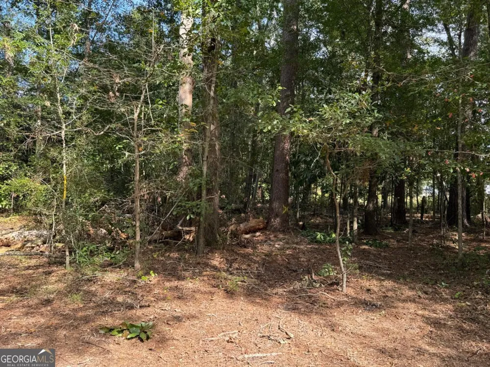 0 Golden Isles HWY Lumber City, GA 31549