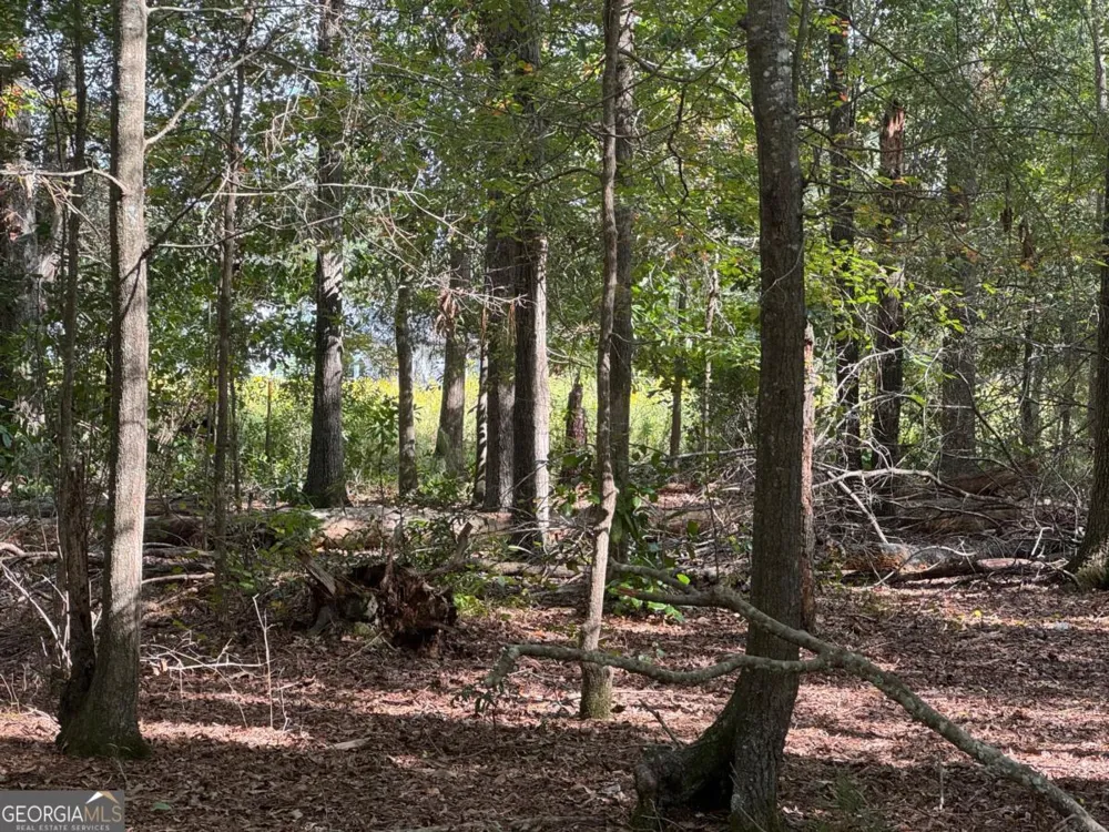 0 Golden Isles HWY Lumber City, GA 31549