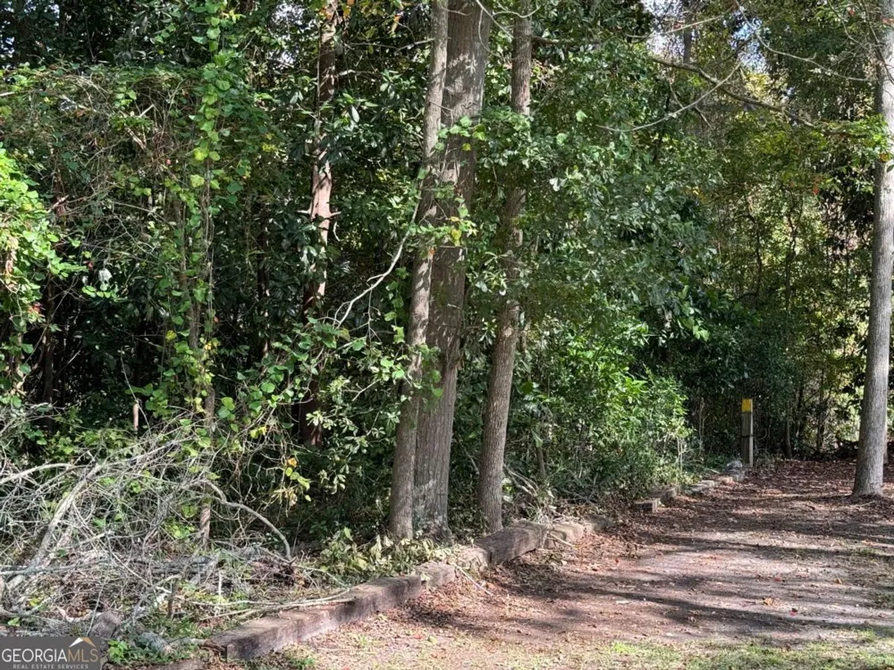 0 Golden Isles HWY Lumber City, GA 31549