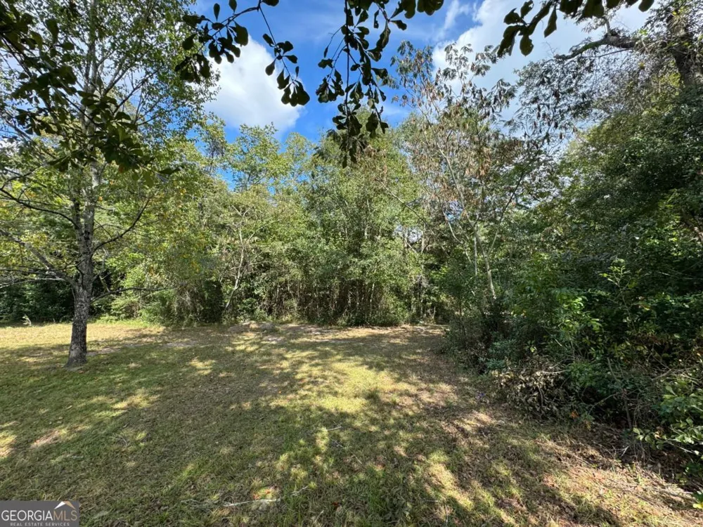 0 Golden Isles HWY Lumber City, GA 31549
