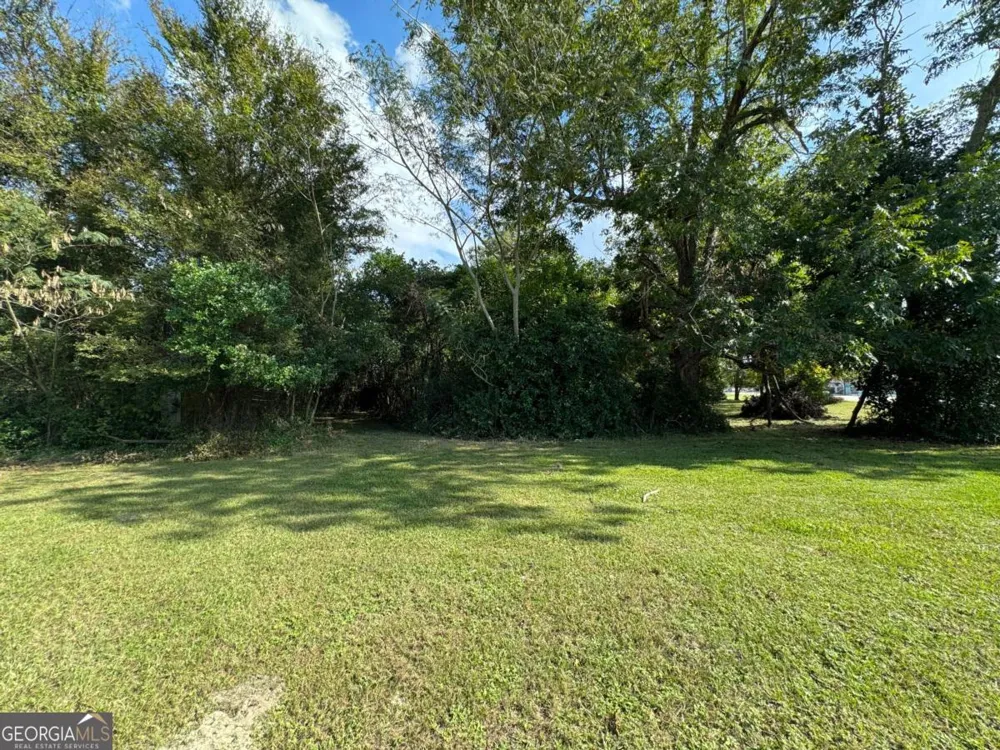 0 Golden Isles HWY Lumber City, GA 31549
