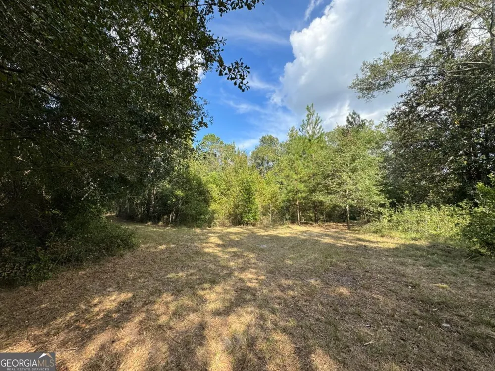 0 Golden Isles HWY Lumber City, GA 31549