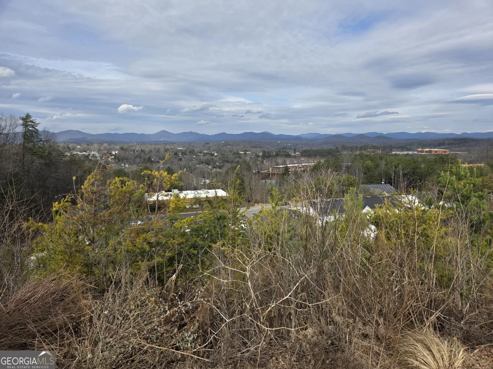 LOTS Village DR Dahlonega, GA 30533