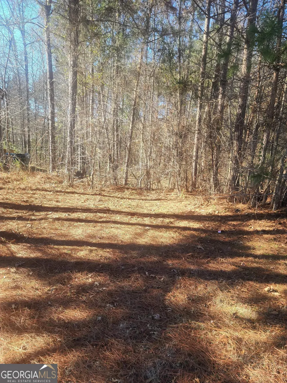 1385 Pebble Ridge DR Hampton, GA 30228