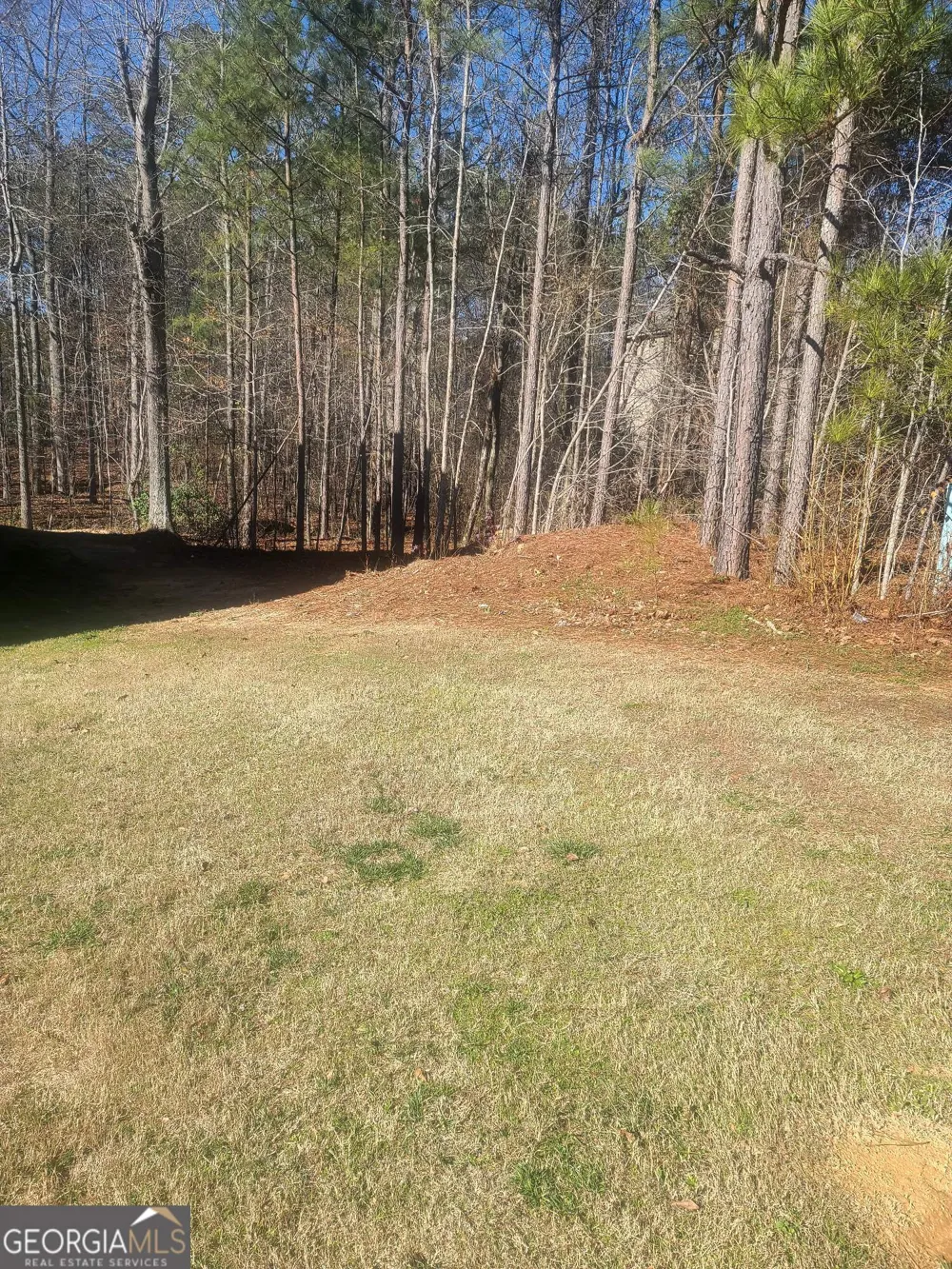 1385 Pebble Ridge DR Hampton, GA 30228