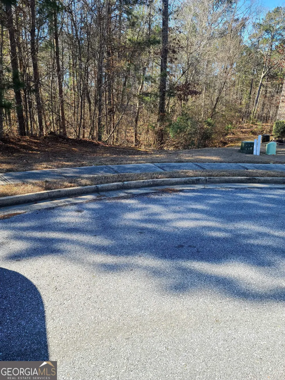1385 Pebble Ridge DR Hampton, GA 30228