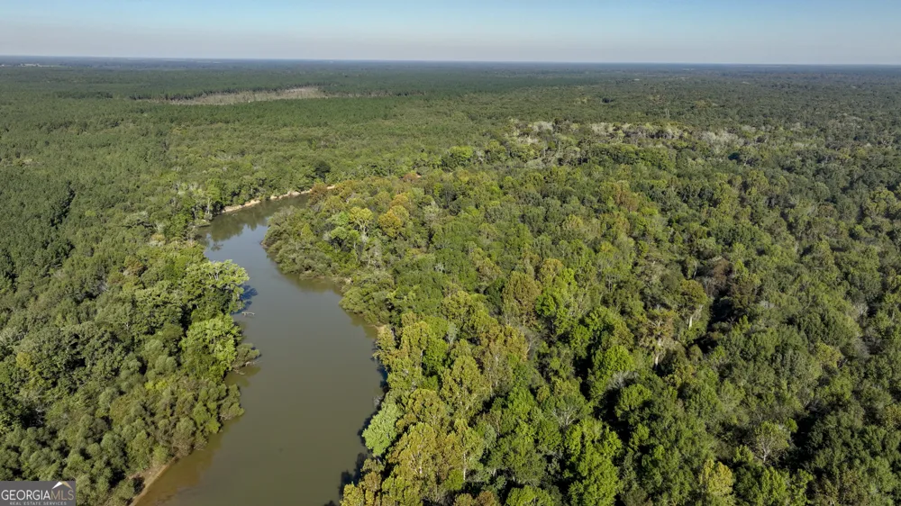0 Abbeville HWY Rhine, GA 31077