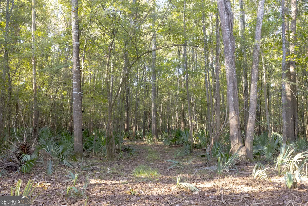0 Abbeville HWY Rhine, GA 31077