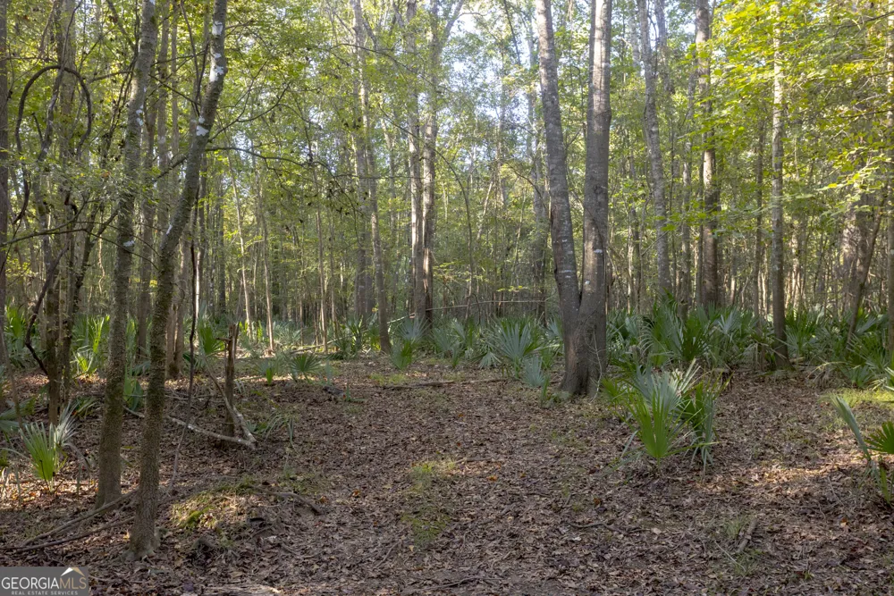 0 Abbeville HWY Rhine, GA 31077