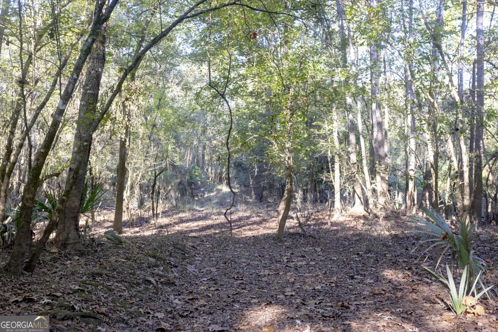 0 Abbeville HWY Rhine, GA 31077