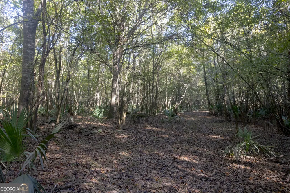 0 Abbeville HWY Rhine, GA 31077