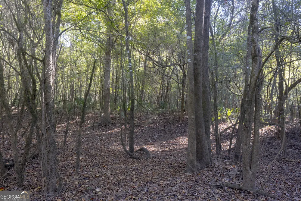 0 Abbeville HWY Rhine, GA 31077