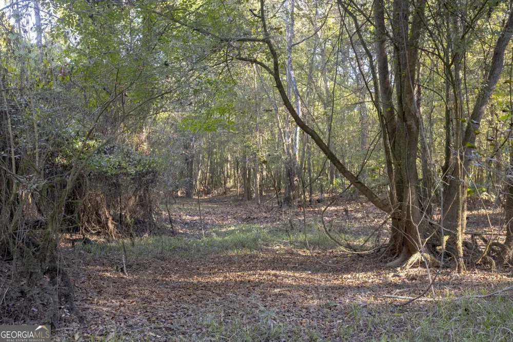 0 Abbeville HWY Rhine, GA 31077