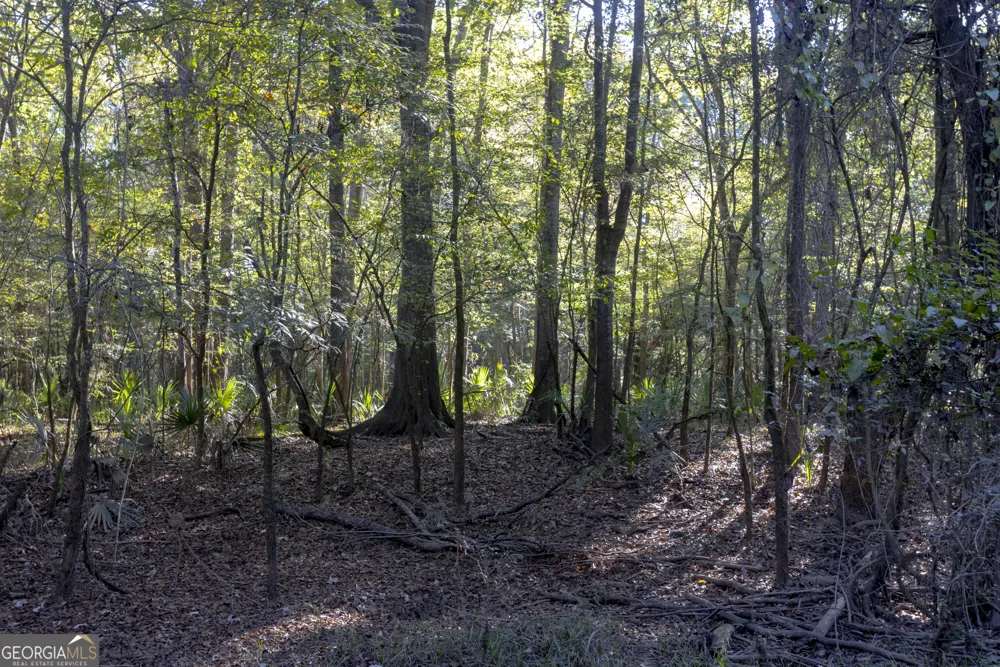 0 Abbeville HWY Rhine, GA 31077