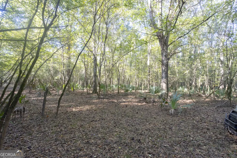 0 Abbeville HWY Rhine, GA 31077